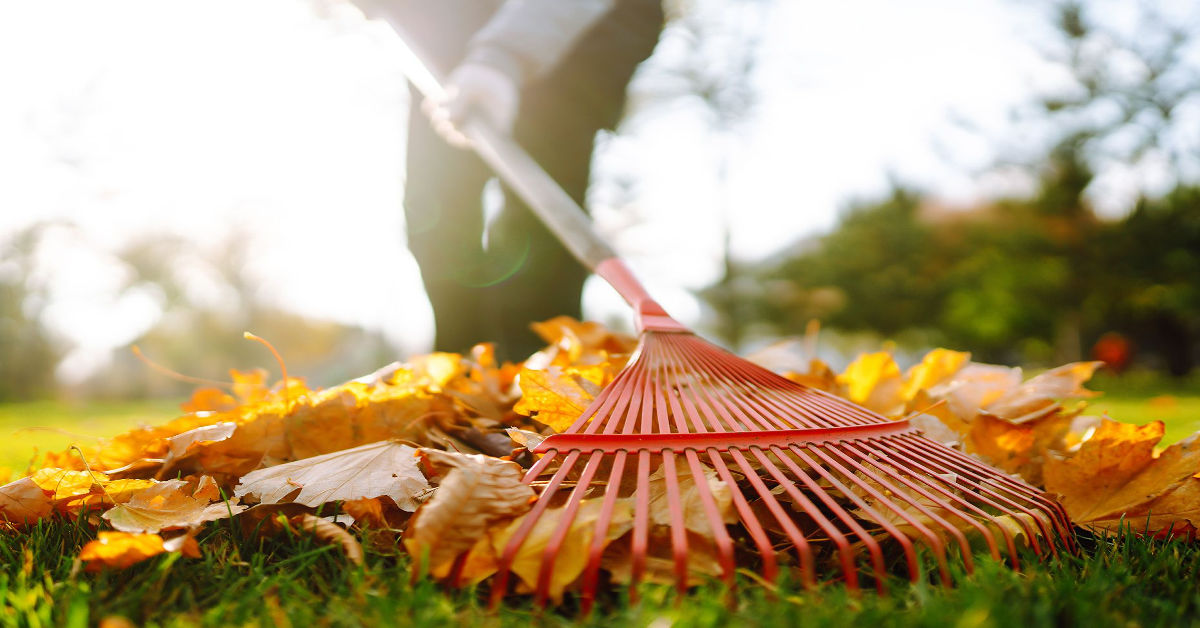 Who Cleans Up the Leaves in Fall